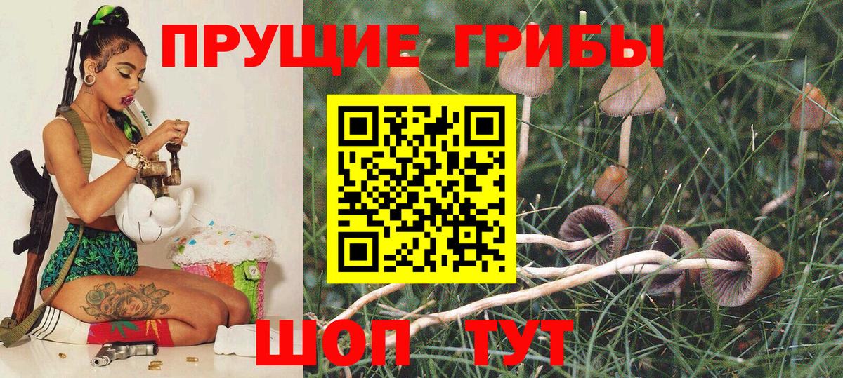 Нижний Тагил  Псилоцибиновые грибы MAGIC MUSHROOMS  Псилоцибиновые грибы Psilocybe  Вход с VPN 